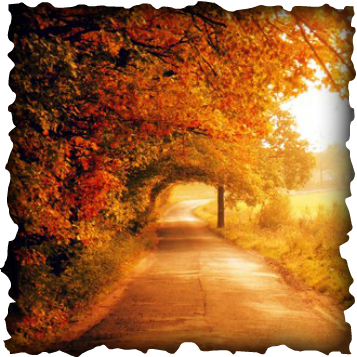 Comparing 'To Autumn' and 'Lines Written in Early Spring'