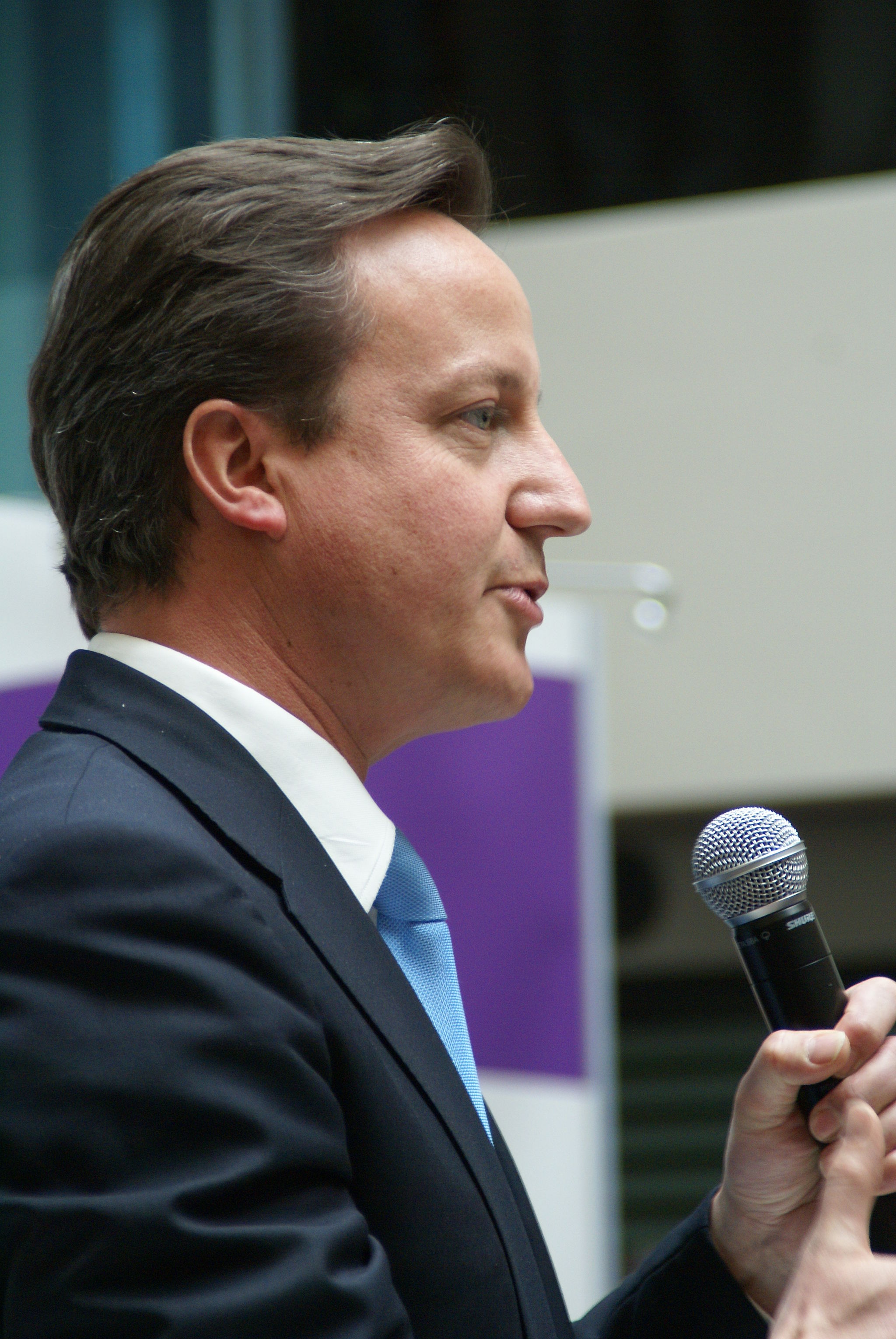  David Cameron and the Conservative Party  