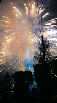 Paris, Bastille Day 2015
