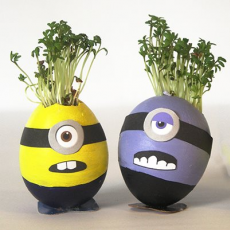 Cress-heads