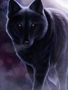 About the Hungry Wolves 