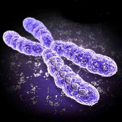 A level biology advice part 1