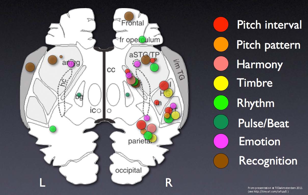 Music as Medicine - Neurological and Psychological Benefits - Part 12