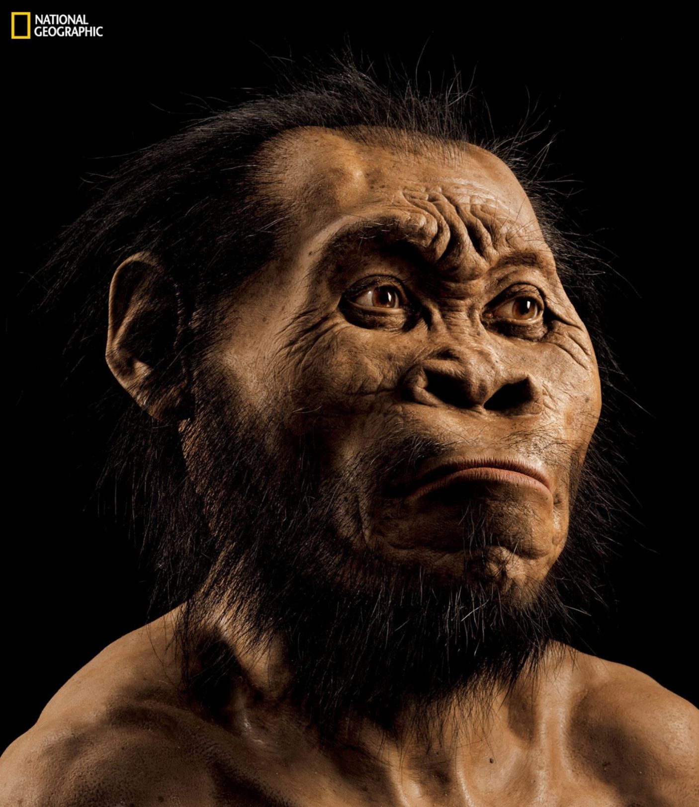 The origins of humankind! (Part 2)