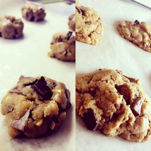Peanut Butter and Chocolate Chip Cookies