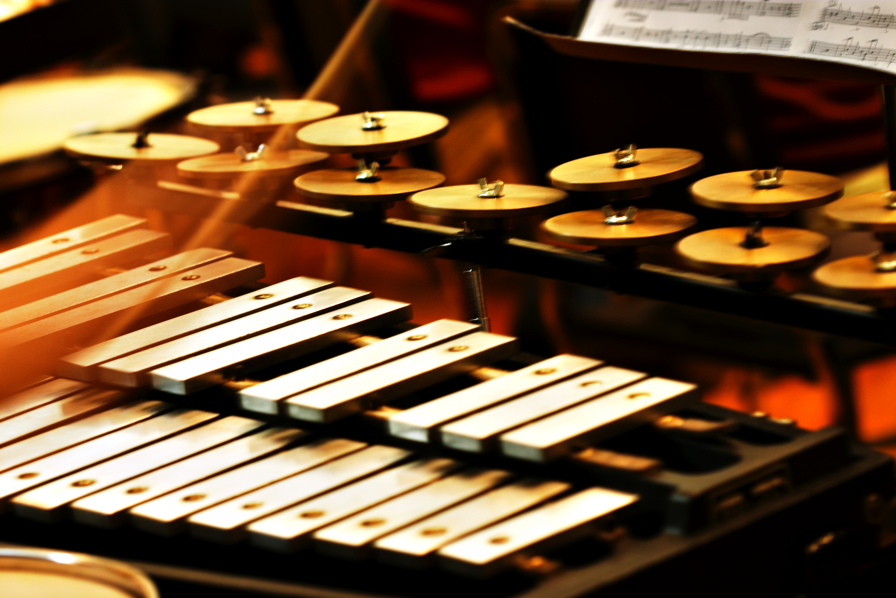 Percussion: Part 1