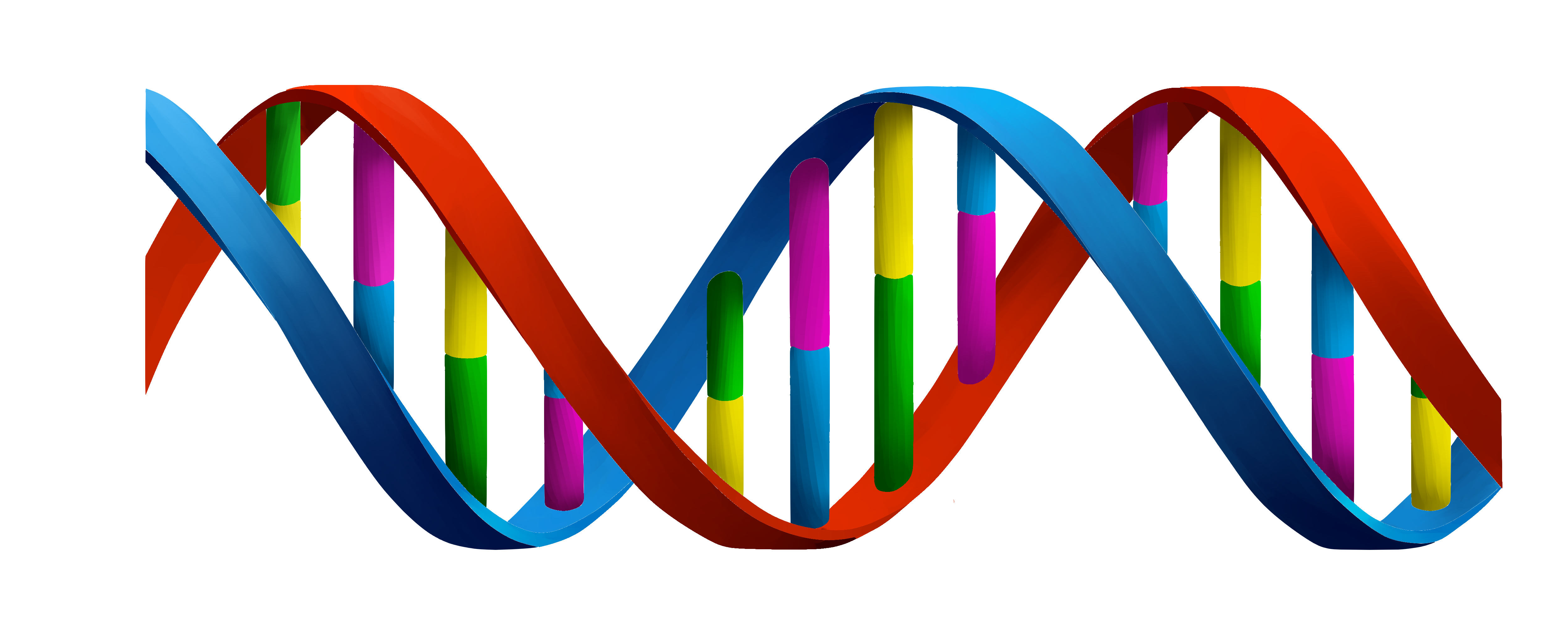 History of DNA discovery