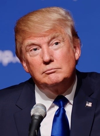 Who is Donald Trump and what are his politics?