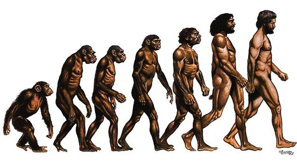 Evolution 