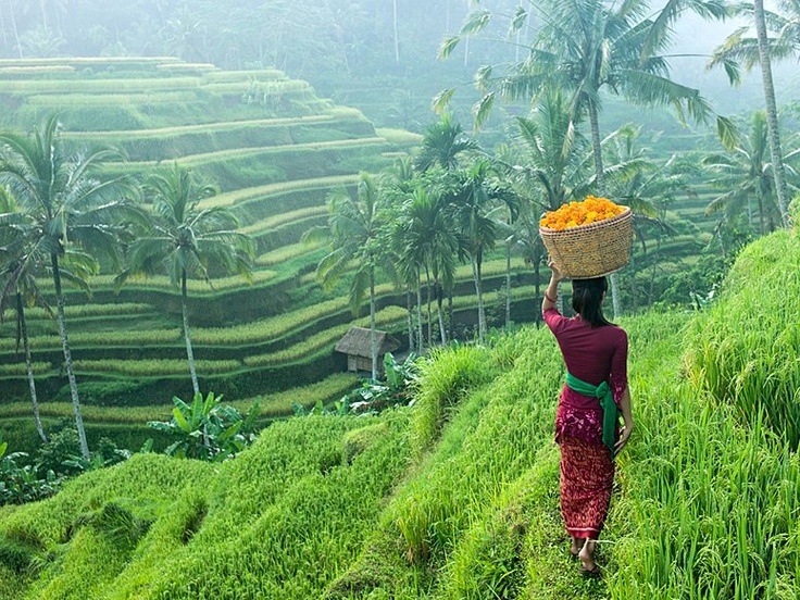 Bali, Part 1