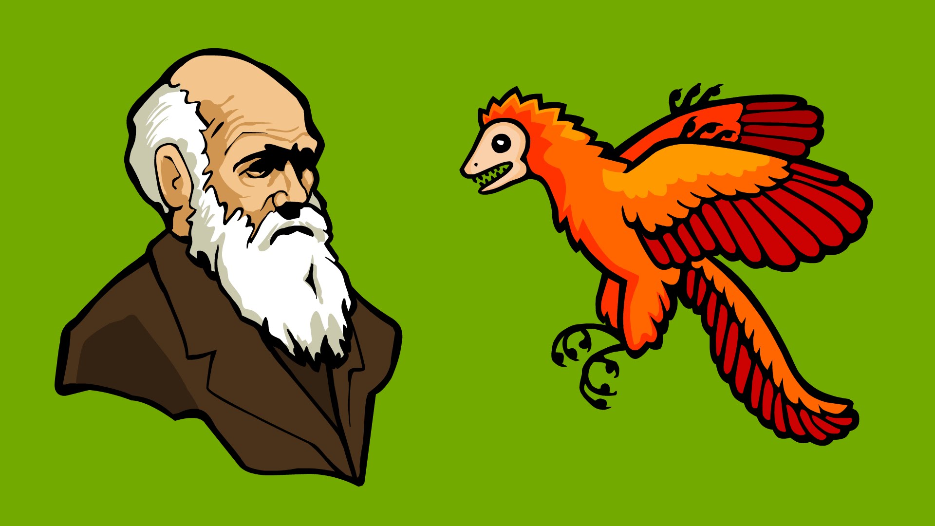 Evolution part 2