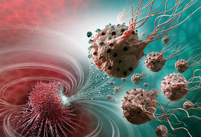 Introduction to Microbiology