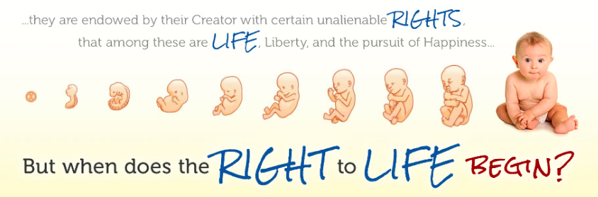 The abortion debate 3