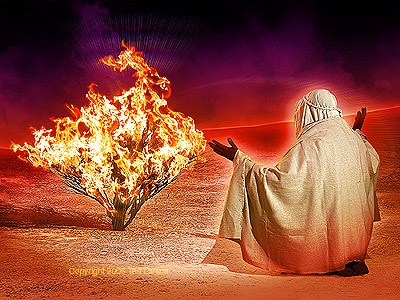 An argument for the existence of God