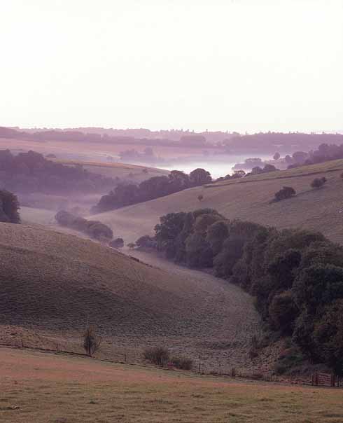 Coercion or Seduction: How Far is Tess to Blame for the Events in the Chase? (14+)