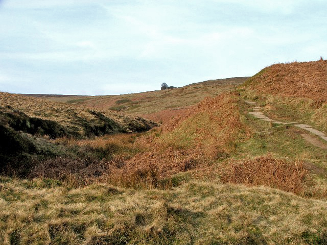 Emily Bronte