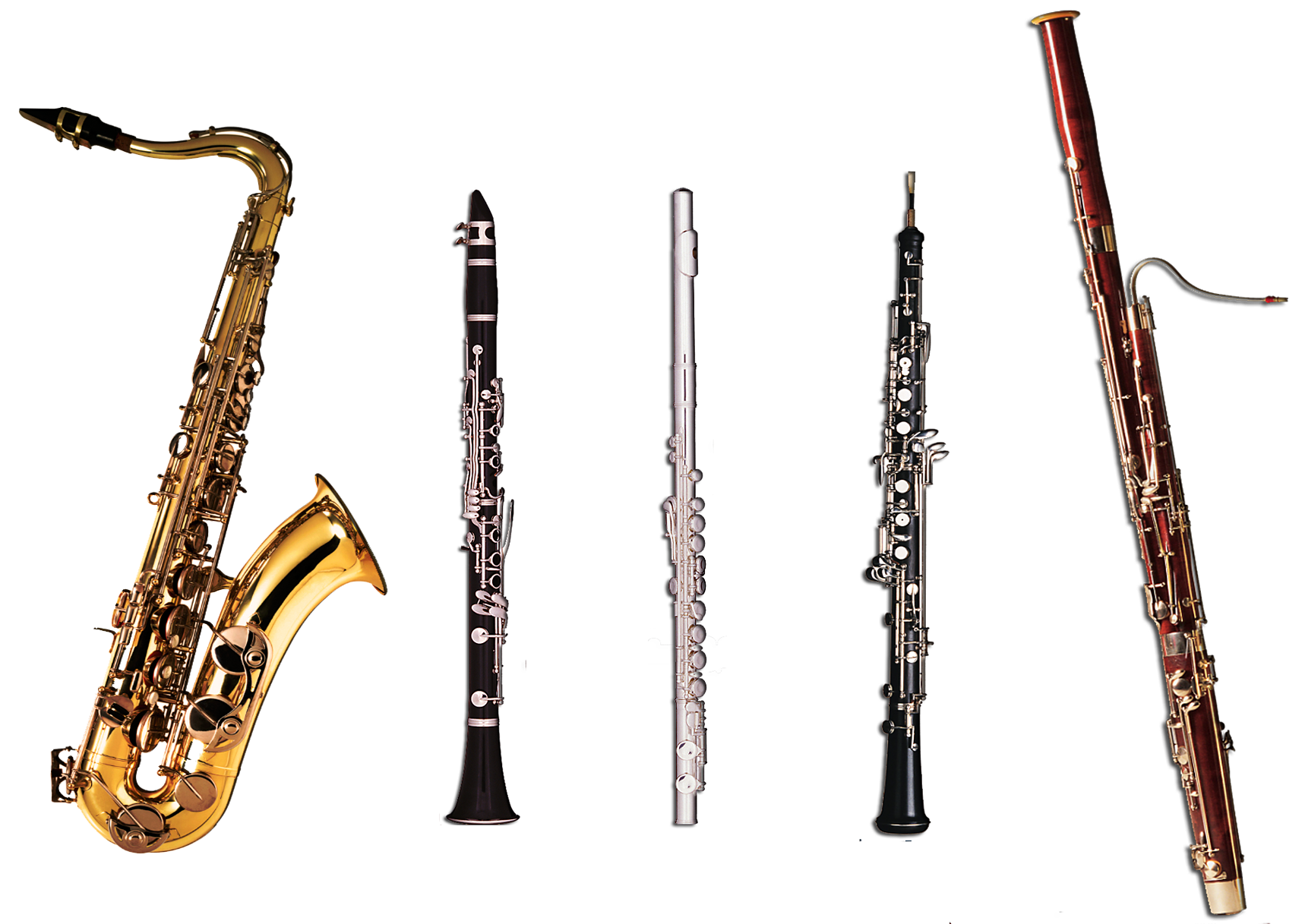 The Woodwind Family: Part 1